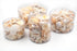 beige and white seashell pack